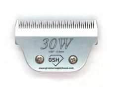 #30W BLADE