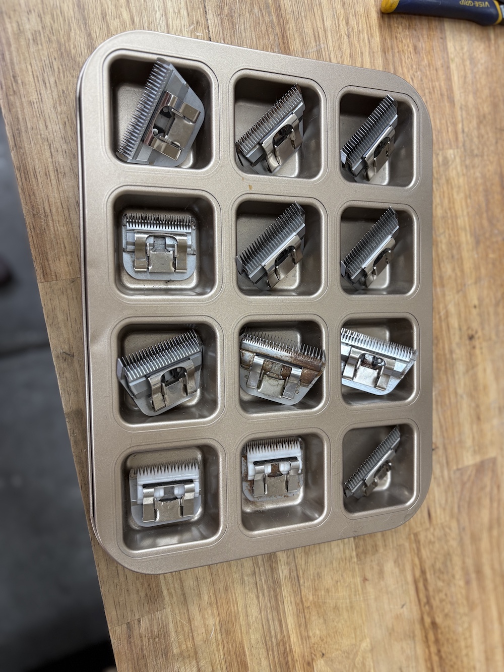 Clipper blades sharpened in a tray.